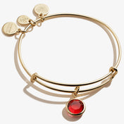 January Scarlet Birthstone Charm Bangle